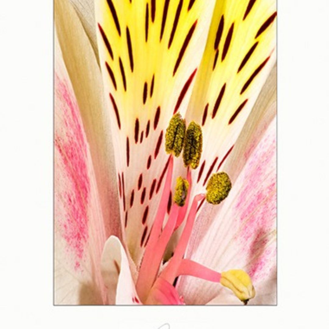 Shop Wall Posters Usa